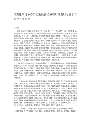 在理论学习中心组促进民营经济高质量发展专题学习会议上的发言.docx