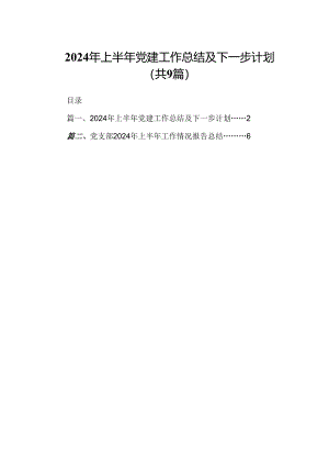 2024年上半年党建工作总结及下一步计划9篇（详细版）.docx