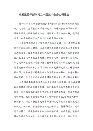 发改委领导干部学习党的二十届三中全会精神心得体会感想研讨发言.docx