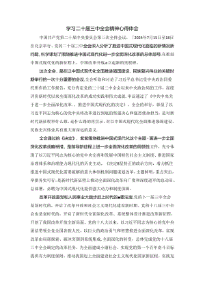 学习二十届三中全会精神心得体会四.docx