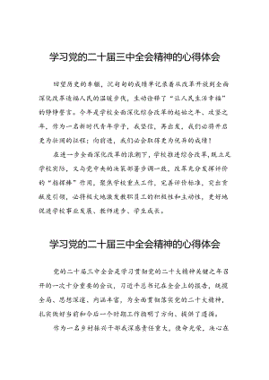 2024年党的二十届三中全会精神心得感悟三十篇.docx
