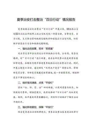2024年夏季治安打击整治“百日行动”工作总结十四篇.docx