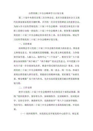 自然资源三中全会精神学习计划方案.docx