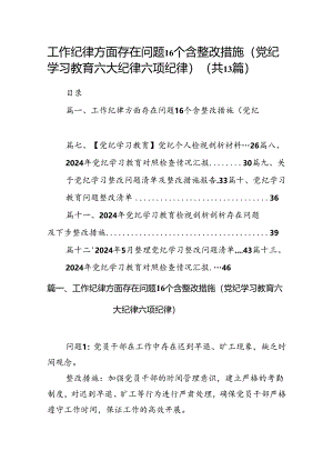 工作纪律方面存在问题16个含整改措施（党纪学习教育六大纪律六项纪律）（共13篇）.docx