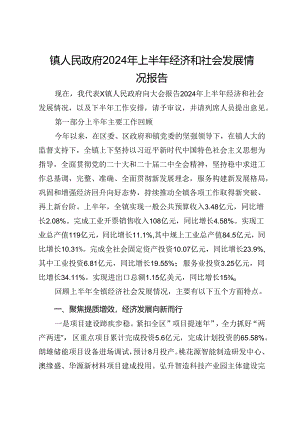 镇人民政府2024年上半年经济和社会发展情况报告.docx
