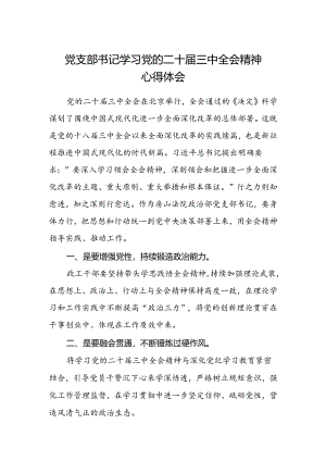 党支部书记学习党的二十届三中全会精神心得体会.docx