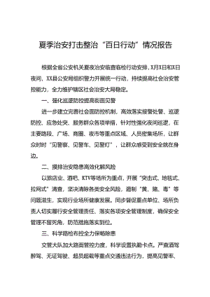 公安推进夏季治安打击整治行动工作简报十篇.docx