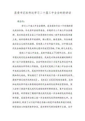 县委书记在传达学习二十届三中全会时的讲话.docx