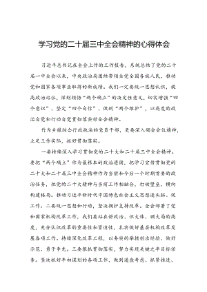 22篇领导干部学习中国共产党第二十届中央委员会第三次全体会议精神心得体会.docx