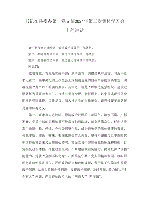 2024年书记在县委办第一党支部第三次集体学习会上的讲话.docx