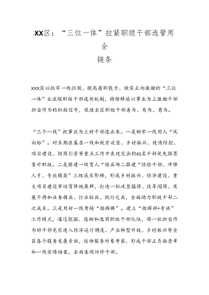 XX区：“三位一体”拉紧职级干部选管用全链条.docx