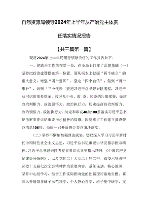 （3篇）自然资源局领导2024年上半年从严治党主体责任落实情况报告.docx