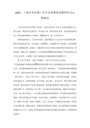 二十届中央纪委三次全会重要讲话精神学习心得体会九篇.docx