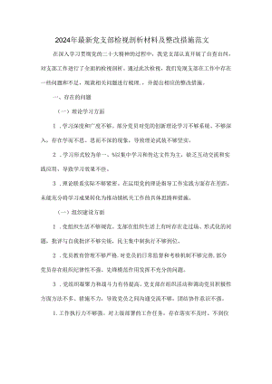 2024年最新党支部检视剖析材料及整改措施范文.docx