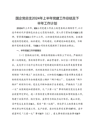 国企党总支2024年上半年党建工作总结及下半年工作计划.docx