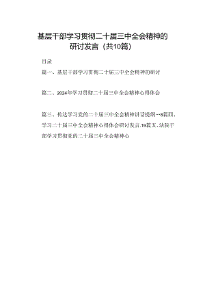 10篇基层干部学习贯彻二十届三中全会精神的研讨发言（精选）.docx