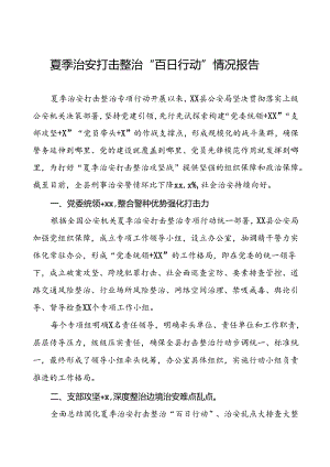 公安夏季治安打击整治工作总结报告(6篇).docx
