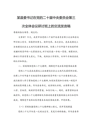 某县委书记在党的二十届中央委员会第三次全体会议研讨班上的交流发言稿.docx