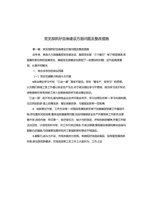 党支部抓好自身建设方面问题及整改措施.docx