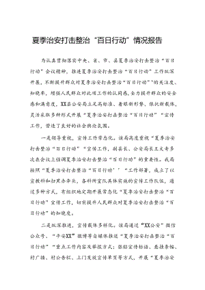 2024年公安推动夏季治安打击整治行动的情况报告(十一篇).docx