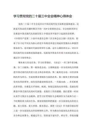 学习贯彻党的二十届三中全会精神心得体会（2）.docx