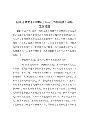 区统计局关于2024年上半年工作总结及下半年工作打算.docx