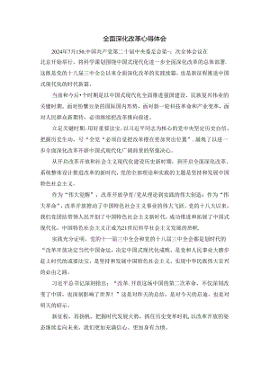 2024全面深化改革心得体会.docx