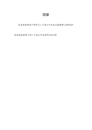 区县处级领导干部学习二十届三中全会公报精神心得体会研讨发言2篇.docx