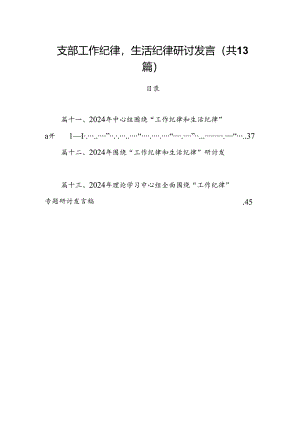 支部工作纪律生活纪律研讨发言13篇（精选）.docx
