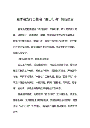 公安2024年全力推进夏季治安打击整治“百日行动”情况汇报6篇.docx