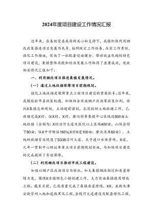2024年度项目建设工作情况汇报.docx