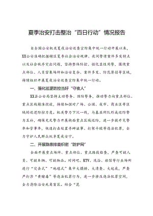 十八篇公安夏季治安打击整治“百日行动”工作总结.docx