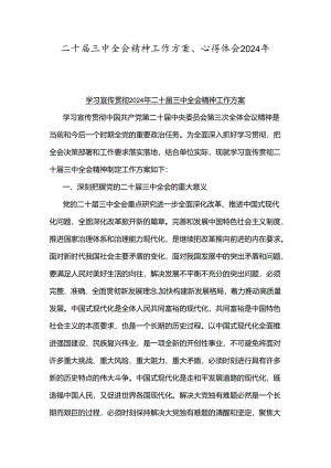 二十届三中全会精神工作方案、心得体会2024年.docx