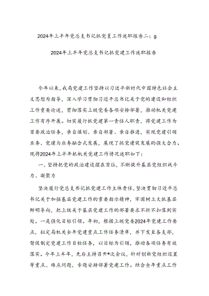 2024年上半年党总支书记抓党建工作述职报告二篇.docx