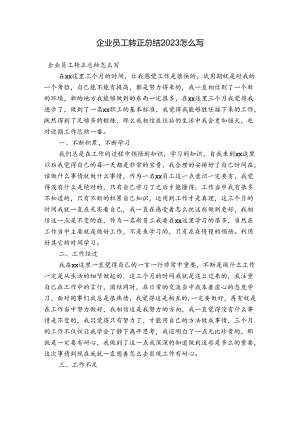 企业员工转正总结2023怎么写.docx