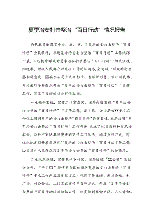 2024年公安开展夏季治安打击整治”百日行动工作总结五篇.docx