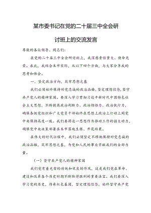 某市委书记在党的二十届三中全会研讨班上的交流发言2.docx
