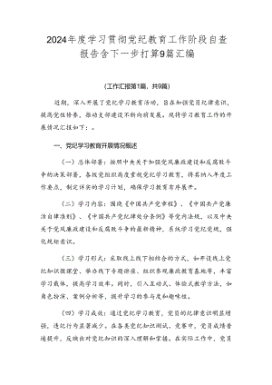 2024年度学习贯彻党纪教育工作阶段自查报告含下一步打算9篇汇编.docx