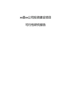 xx县xx公司投资建设项目可行性研究报告.docx