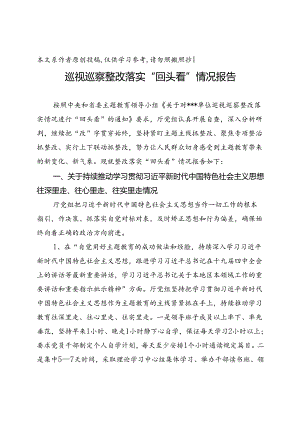 巡视巡察整改落实回头看情况报告.docx