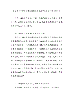 基层乡镇领导干部学习贯彻党的二十届三中全会精神心得体会感想.docx