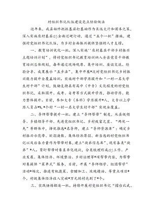 村组织书记队伍建设亮点经验做法.docx