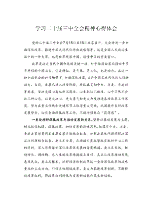 学习二十届三中全会精神心得体会.docx