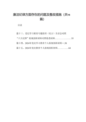 廉洁纪律方面存在的问题及整改措施15篇（精选）.docx