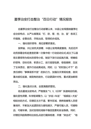 十八篇公安2024年推动夏季治安打击整治行动强力工作汇报.docx