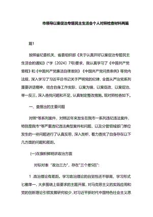 市领导以案促治专题民主生活会个人对照检查材料两篇.docx