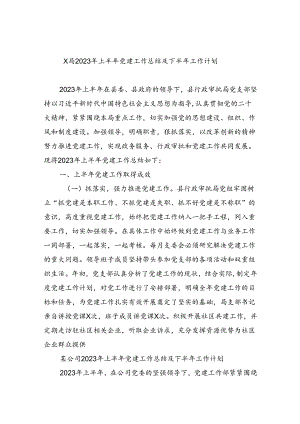 X局2023年上半年党建工作总结及下半年工作计划（共10篇）.docx