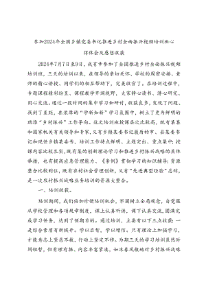参加2024年全国乡镇党委书记推进乡村全面振兴视频培训班心得体会及感想收获.docx