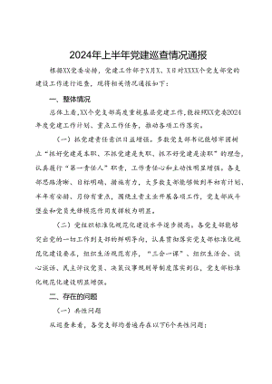 2024年上半年党建巡查情况通报.docx