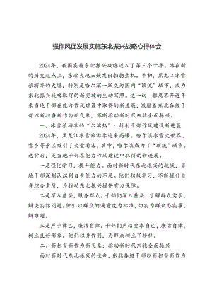 4篇 2024年强作风促发展实施东北振兴战略心得体会.docx